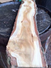 Cedar Of Lebanon Timber,cedar