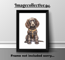 FIELD SPANIEL PET A4 PRINT