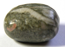 LARGE CRINOID FOSSIL TUMBLESTONE - 2.2 x 1.7 cm 9.94 gms - #3