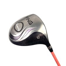 Ping Rhapsody Driver / 12