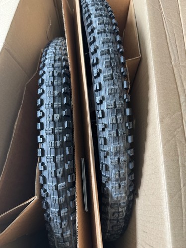 Swiss m1900 wheelset - dt,