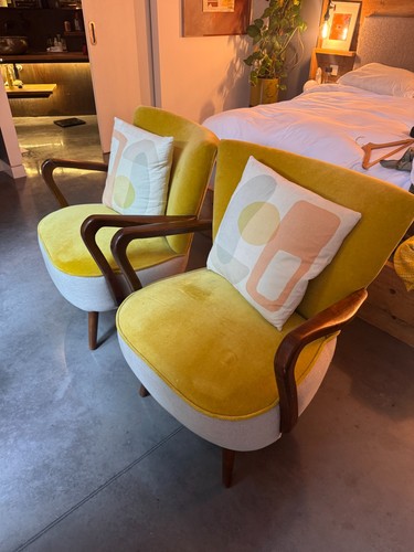 Pair yellow atkin and thyme - of,