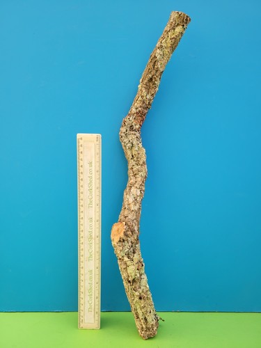 Cork bark branch 48cm snake - cork,