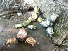 Turtle Metal Hand Spinner