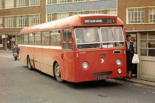 Western welsh u6462 618bbo - welsh,