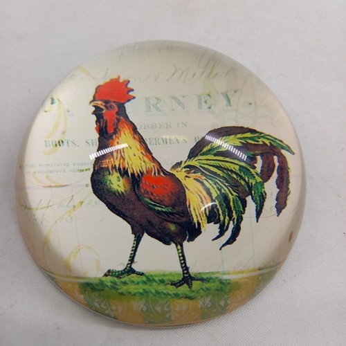 Decorative collectable - decorative,