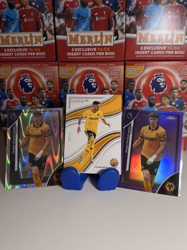 Wolves bundle immaculate - wolves,