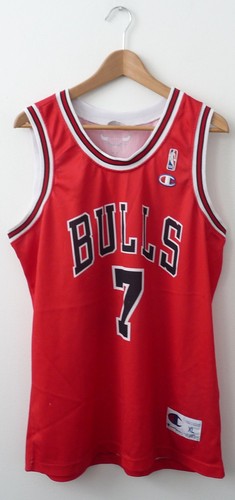 Champion chicago bulls - champion,