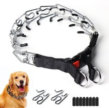 Prong Training Collar Dog