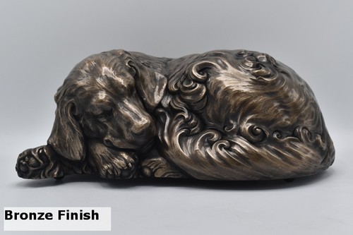 Dog urn pet - to, store