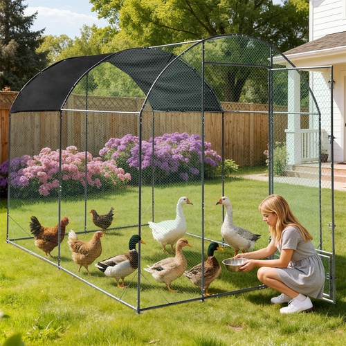 Thickened walk chicken coop - chicken,