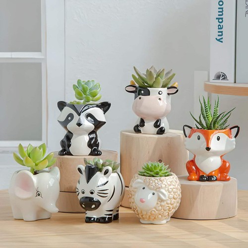 Animal succulent planters with - succulent,