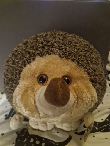 Nwt cozy time hedgehog - cozy,