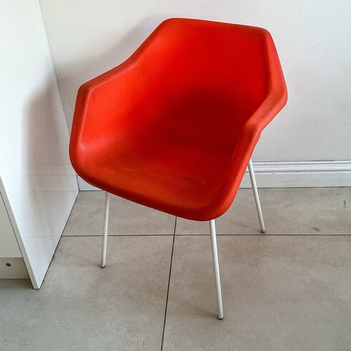 Robin day for hille - robin,