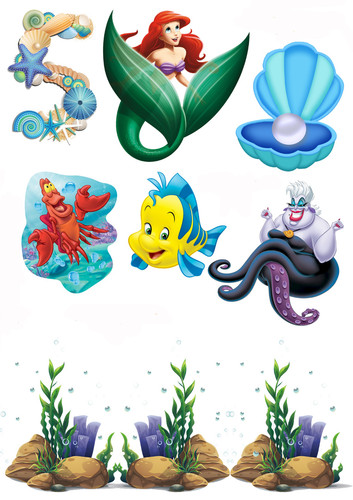 Premium quality ariel edible - premium,