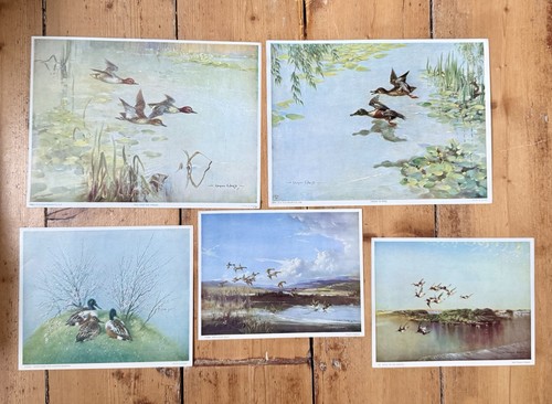Vintage prints vernon - 5, by