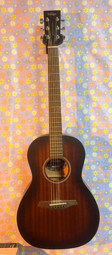 Vintage statesboro acoustic - vintage,