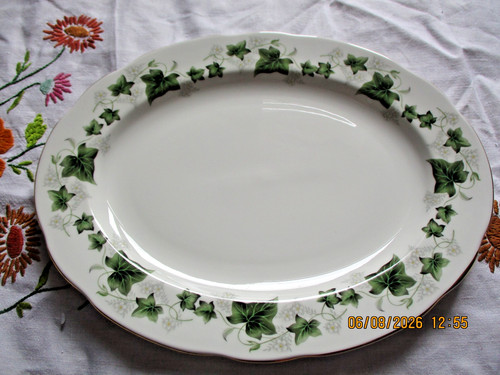 Duchess china ivy - ivy,