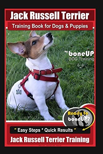 Jack russell terrier training - jack,