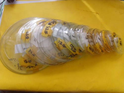Clock glasses round convex - clock,