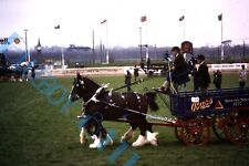 Bass Brewery Dray & Horses  At