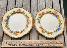 2 Vintage John Maddock Sons Minerva Ivory England Meadow Flowers Dinner Plates