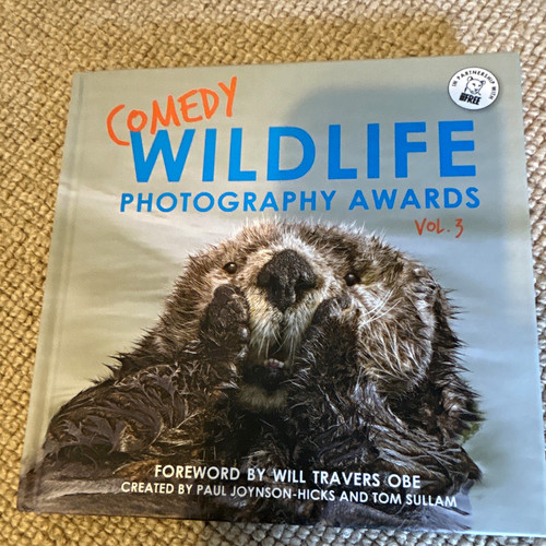 Comedy wildlife photography - comedy,
