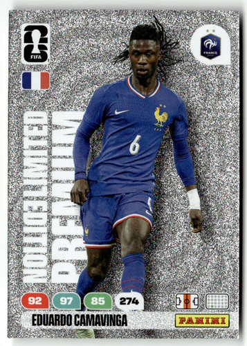 Panini fifa world cup - panini,