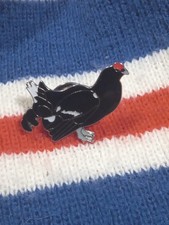 BLACK GROUSE GAME BIRD HUNTING