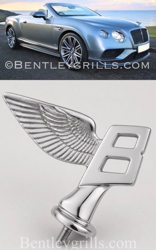 Bentley chrome flying - b, hood