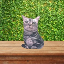 3D Tabby Cat Plush Cushion – Small Grey Decorative Pillow Gift for Cat Lovers 