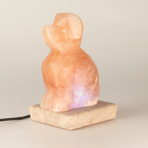 Usb dog shaped salt - usb,