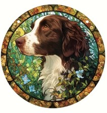 SPRINGER SPANIEL Brown
