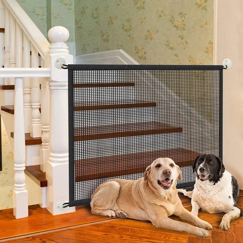 Folding pet dog retractable - folding,