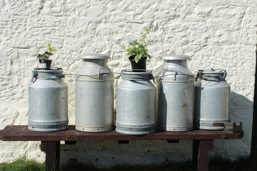 Photo 6x4 milk urns - photo,