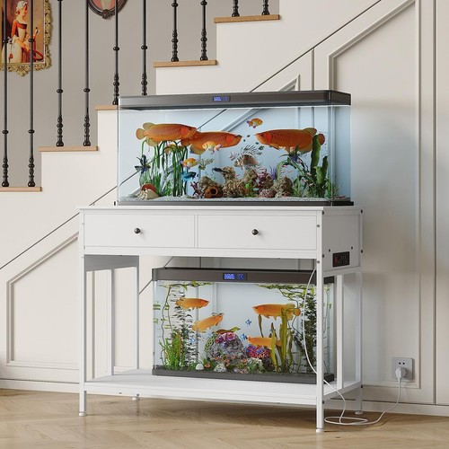 Gallon fish tank stand with - fish,