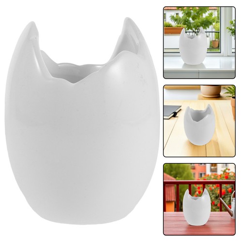 Simulated shell potted plant - simulated,