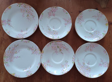 Glorious Devon OLD ROYAL CHINA