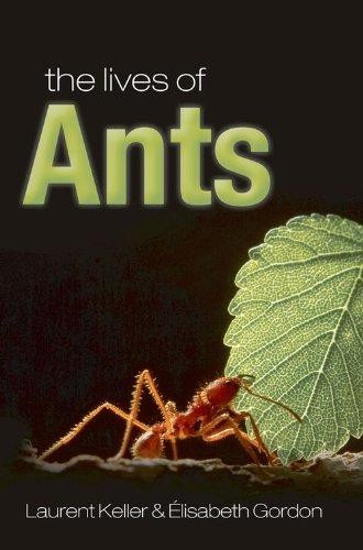 The lives ants keller - of,
