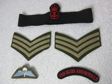 Military Insignia Badges