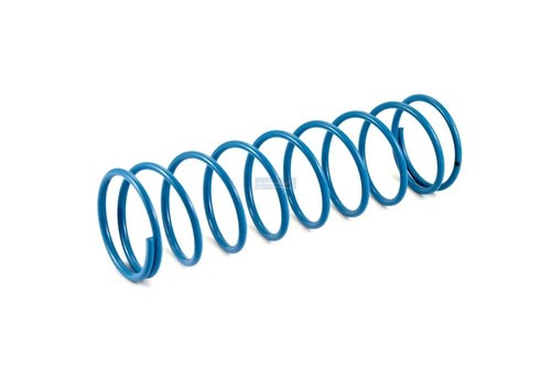 Stock rear shock spring - rear,