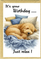 Golden Doodle / Labradoodle