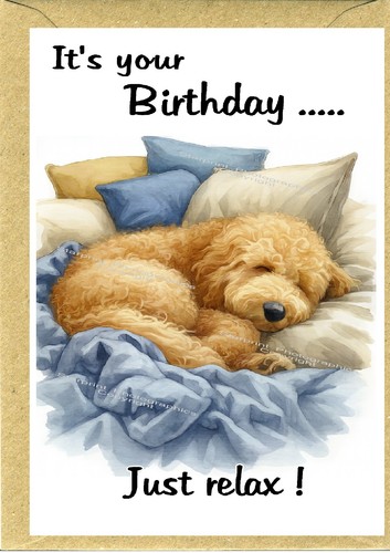 Golden doodle labradoodle - /,