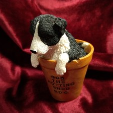 The House Of Valentina Border Collie Pup in Plant Pot Collectable Figurine 11cms