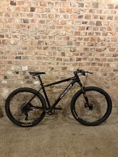 Specialized Custom Mountain