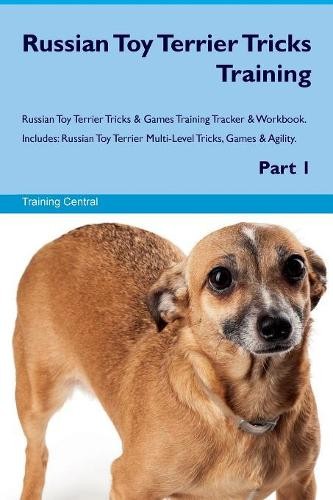 Russian toy terrier tricks - russian,