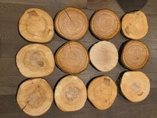 12 Aprx 18-20cm diameter Log