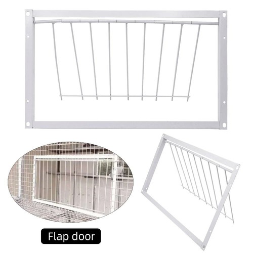 One way pigeon loft - pigeon, door