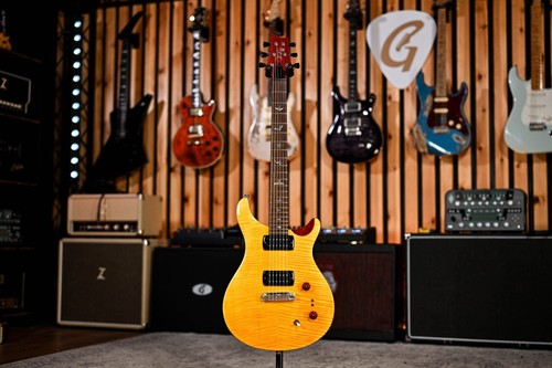 Prs paul guitar - guitar, in