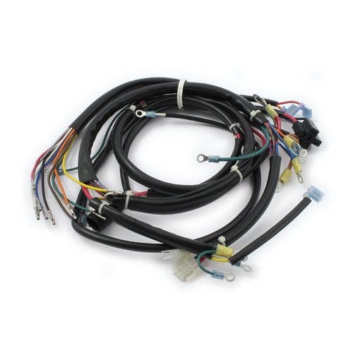 Main wiring harness - wiring, style